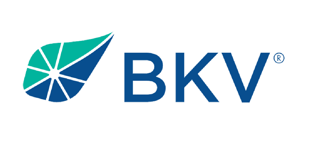 15 logo - bkv 15 logo - bkv